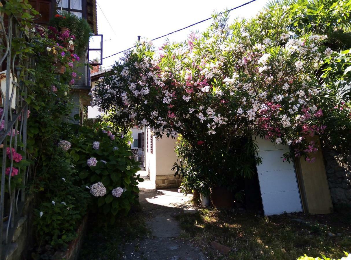 Apartments Placovici ヴォロスコ エクステリア 写真